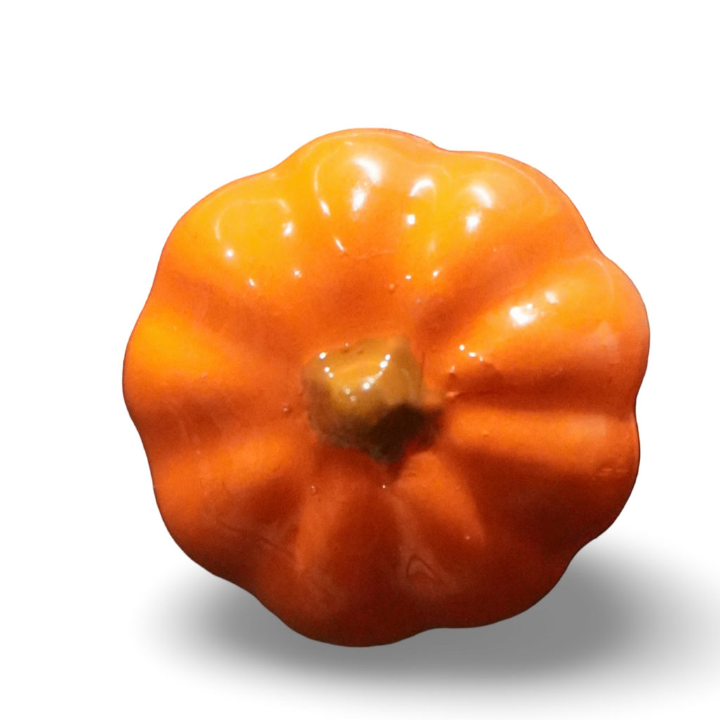 Pumpkin Fridge Magnet