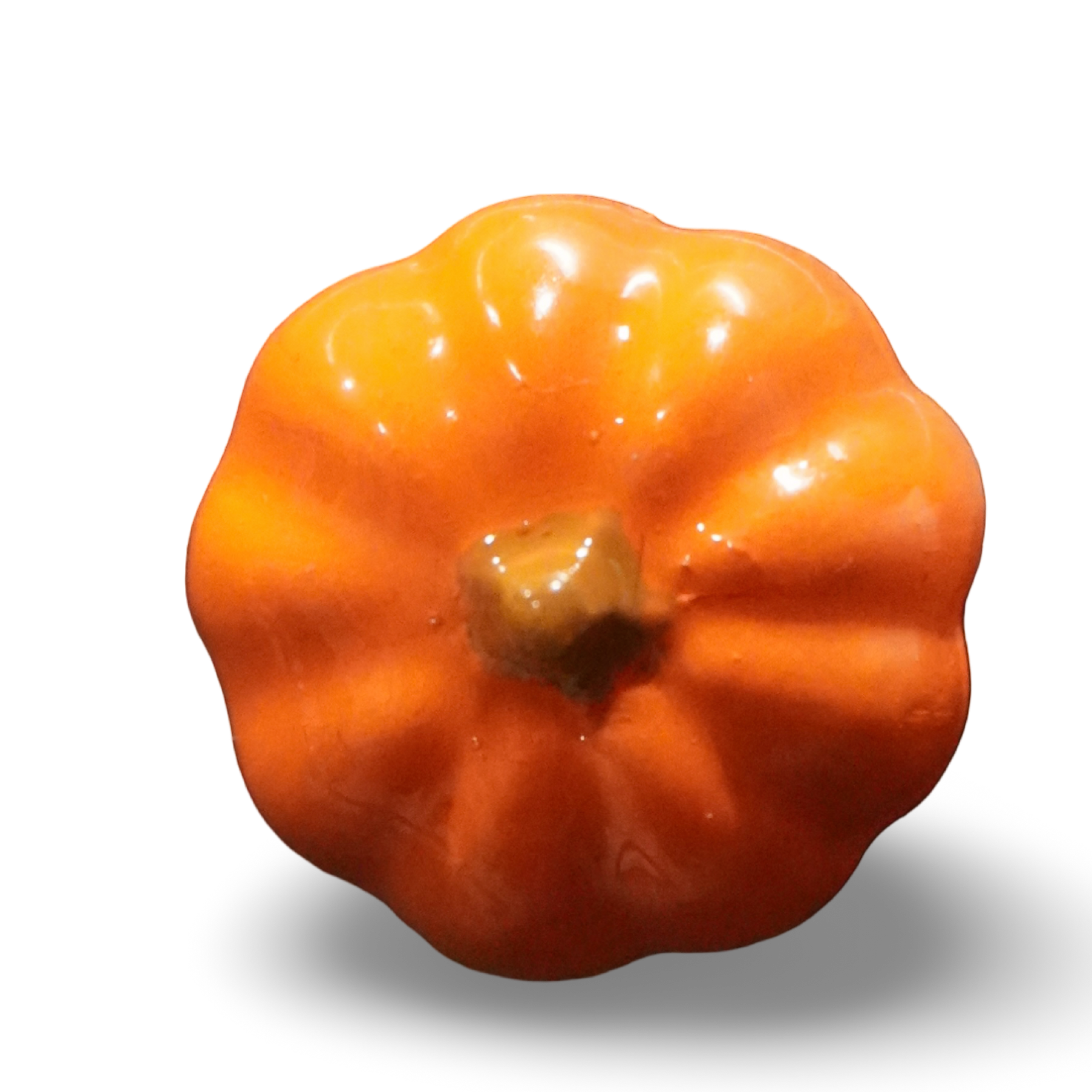 Pumpkin Fridge Magnet
